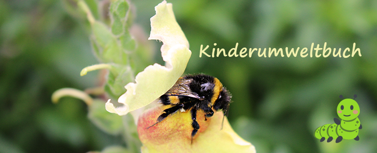 Kinderumweltbuch Emilia und Lukas retten die Blumenwiese von Eva Ernst Herten